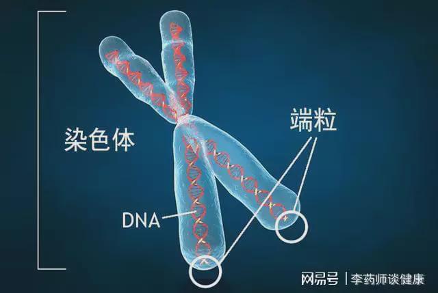 8名科学家发现速溶咖啡新危害：喝一杯少活138天生命时钟被改变(图2)