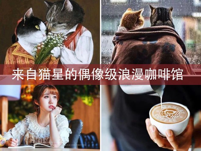 漫猫咖啡Mancat品牌简介(图2)