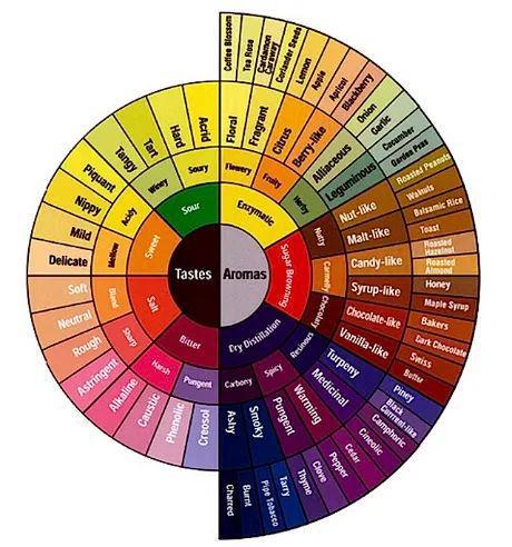 如何制作一杯让打工人温暖的咖啡？来用这些科学方法(图1)