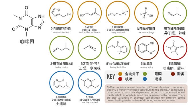 如何制作一杯让打工人温暖的咖啡？来用这些科学方法(图2)