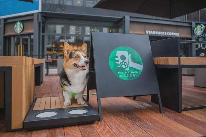 完美体育咖啡市场大战星巴克还能凭借“第三空间”牢牢占据市场份额吗？(图11)